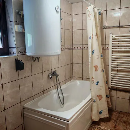 ゲストハウス Aleksandar - Dar Lux Bukorovac