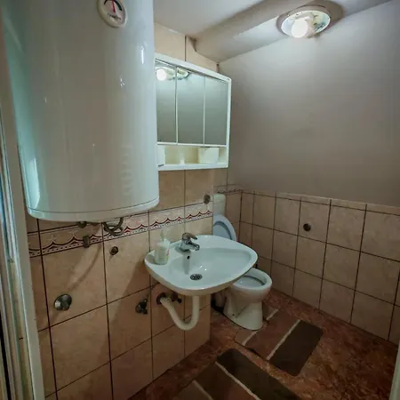 ゲストハウス Aleksandar - Dar Lux Bukorovac