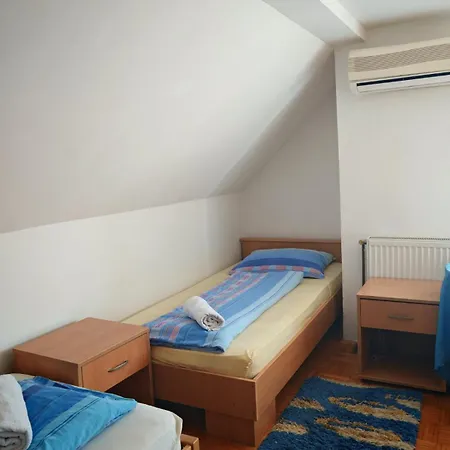 ゲストハウス Aleksandar - Dar Lux Bukorovac