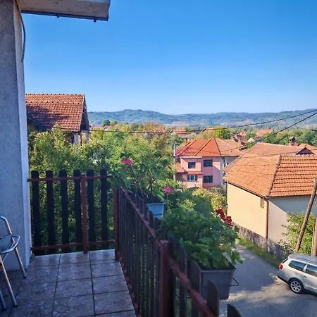 Aleksandar - Dar Lux *